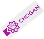 Team Leader Chogan